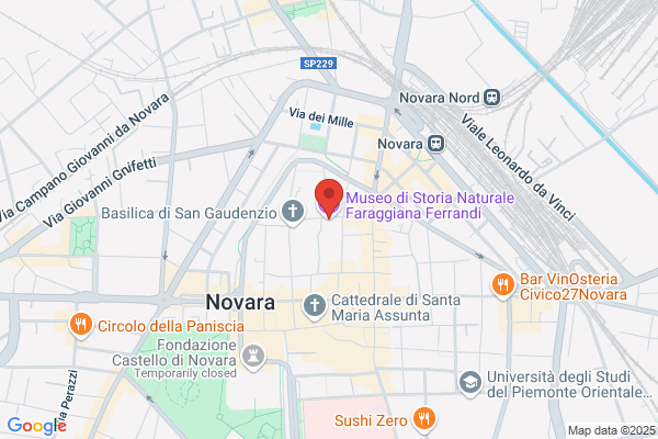 Municipio / Musei / Faraggiana