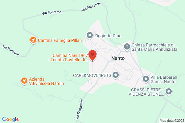 Nani antonio