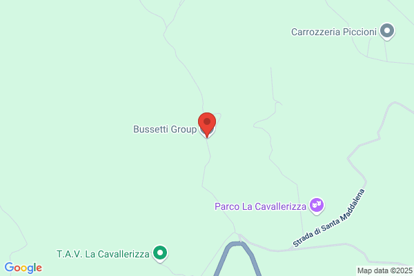 Bussetti Group