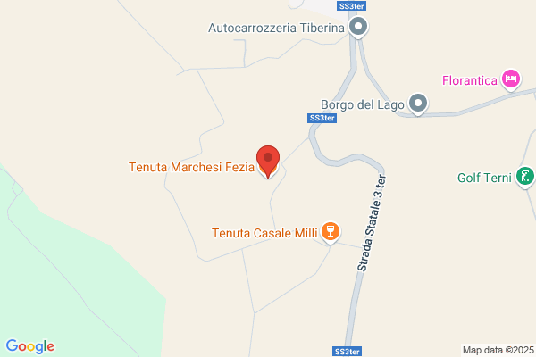 Ten.Agric. M.Si Fezia S.P.A.