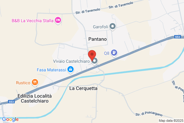 Poli carlo