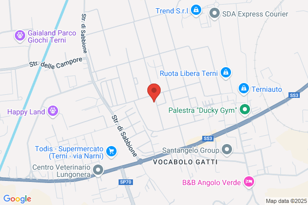 Nuova Terni Industrie Chimiche Spa