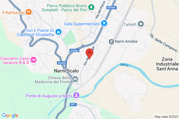 Grisci