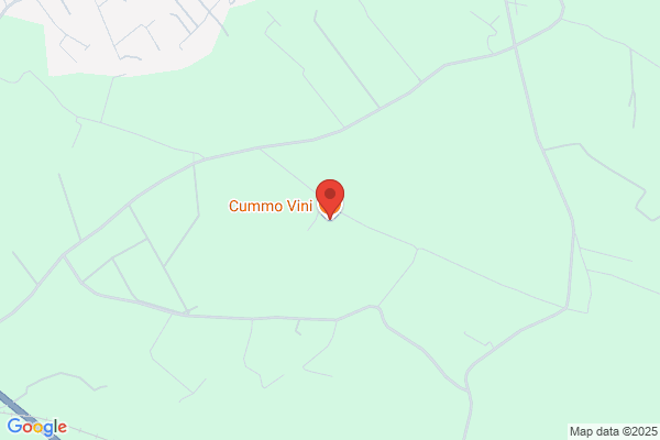 Cummo Vini