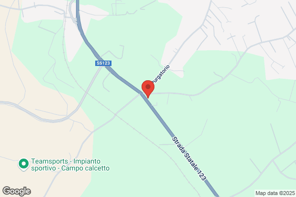 Facciponte Olive