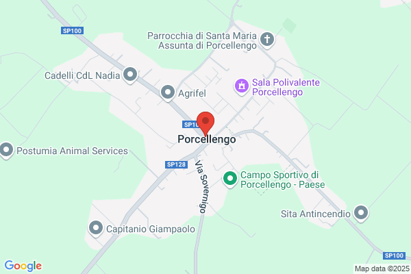 Porcello anna