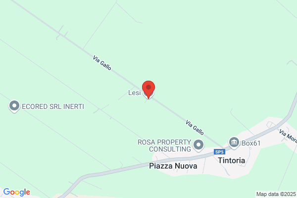 Lesi Di Dellavalle Erveda E C. (S.N.C.)