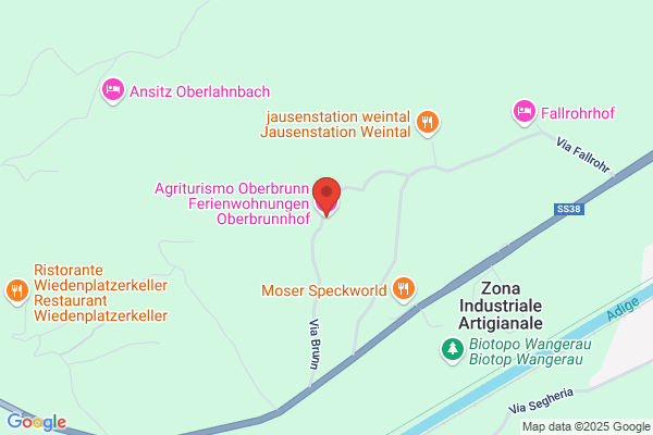 Oberhofer johann