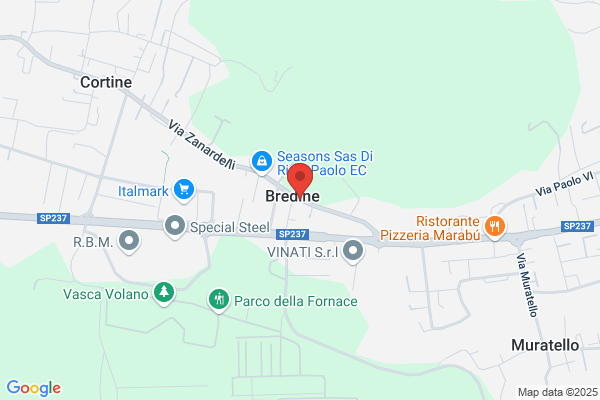 Zanardelli elsa