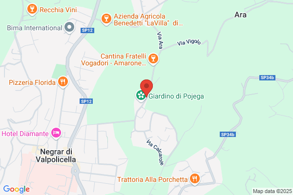 Guerrieri Rizzardi Azienda Agricola