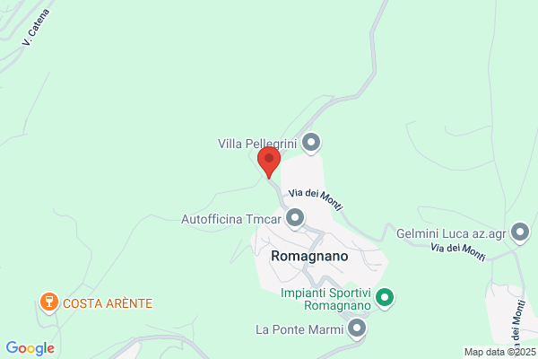 Gelmini Daniele