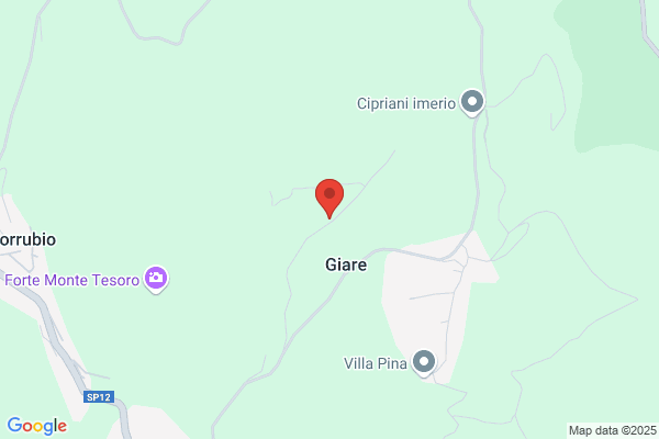 Mignolli claudio (Geom.)