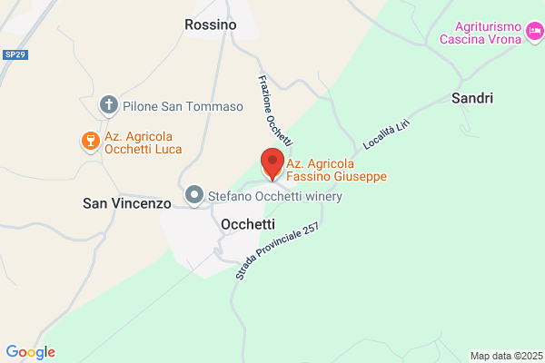 Fassino Giuseppe
