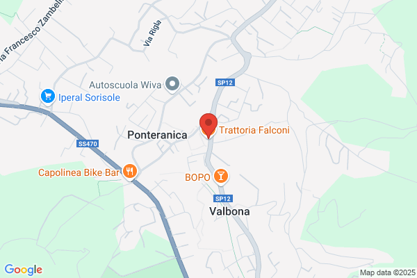 Falconi Aurelio