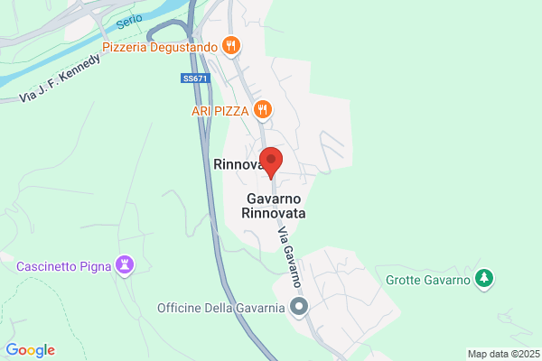 Pezzotta fulvio