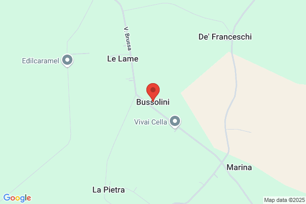 Giorgio Bussolini S.A.S.