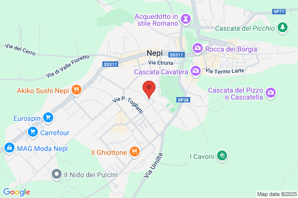 Nepidental Studio Dentistico