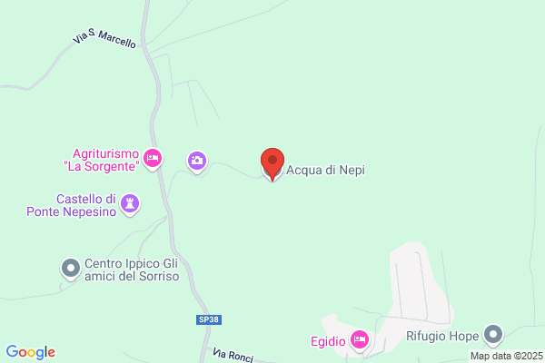 Acqua Di Nepi Spa