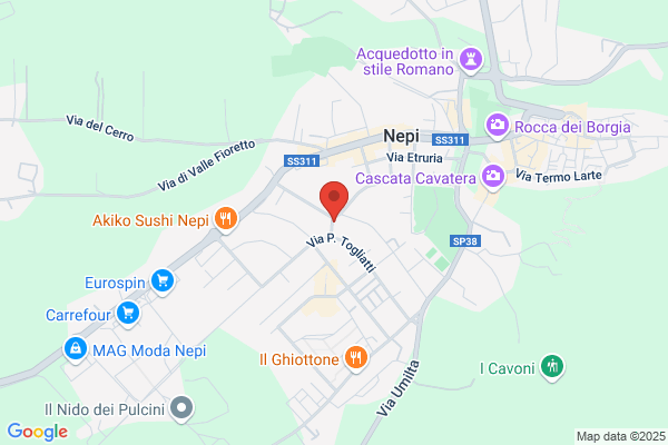 Lorchidea Di Spurio M.