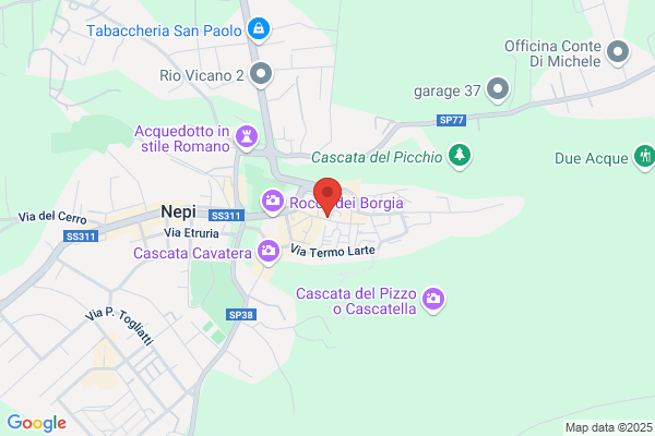 Paggi roberto