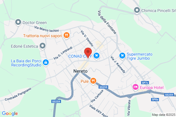 Sgattoni Dr. Roberta
