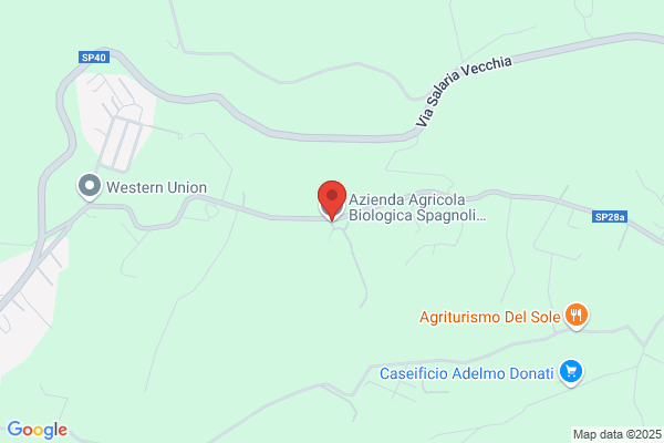 Spagnoli augusto