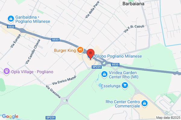 Il Globo Srl