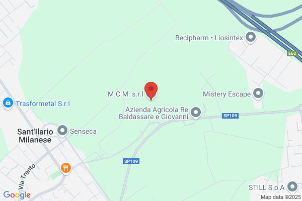 M.C.M. Srl
