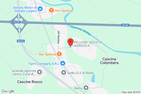 Pellerei luciano