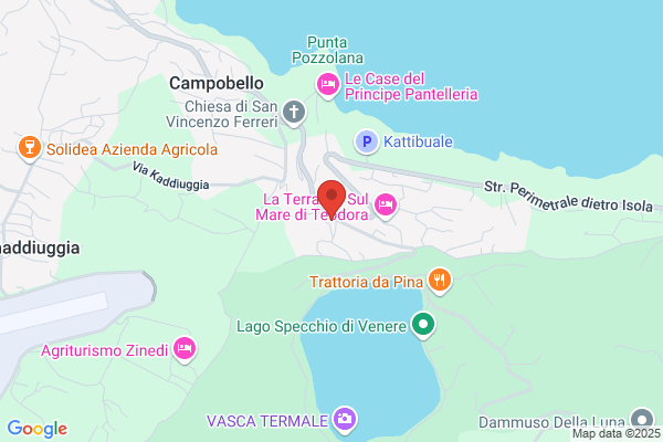 Maltese antonino