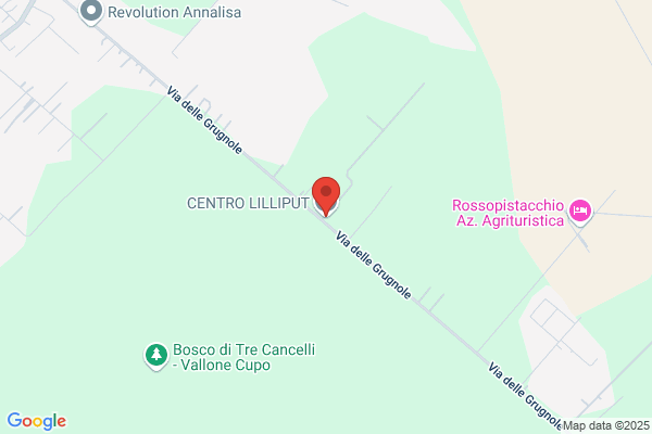 Il Mirtillo Cooperativa Sociale A Resp. Limitata