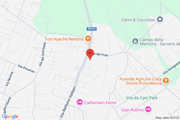Lorchidea S.A.S. Di Baldassarre Di Anna Maria