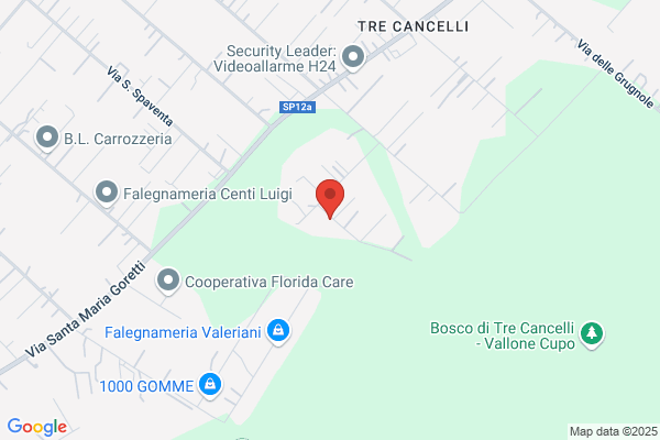 Impresa Costruzioni E.Romagnoli