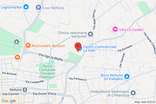 Salmoiraghi & Viganò