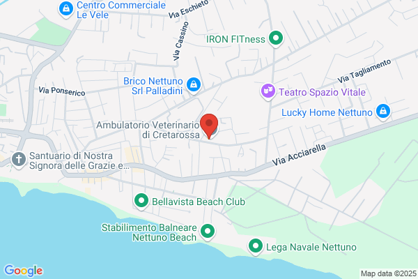 Ambulatorio Veterinario MY PETS