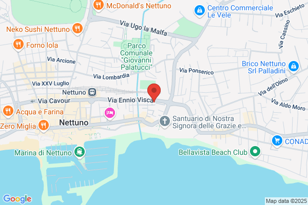 Nettunvideo Srl