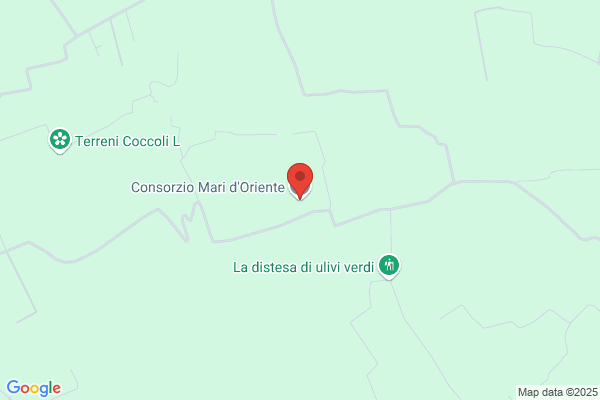 Consorzio Mari D'Oriente