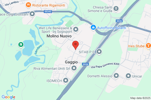 Sironi gianluigi