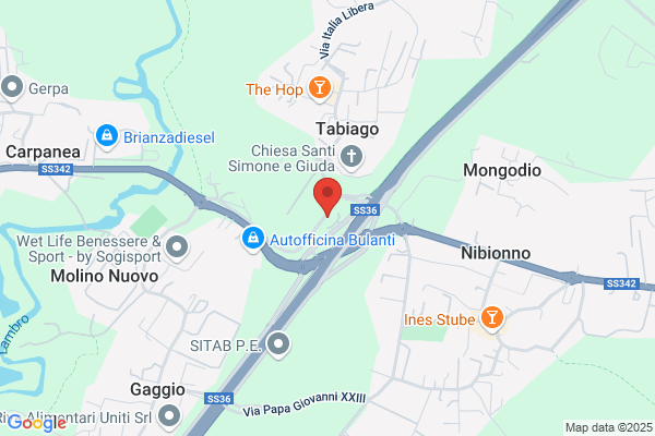 Station Wagon Srl