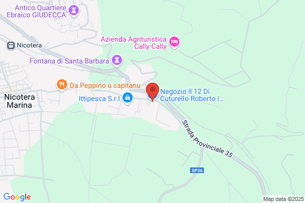 Minniti rocco