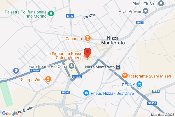 Il Pioniere Di Bellora Katia