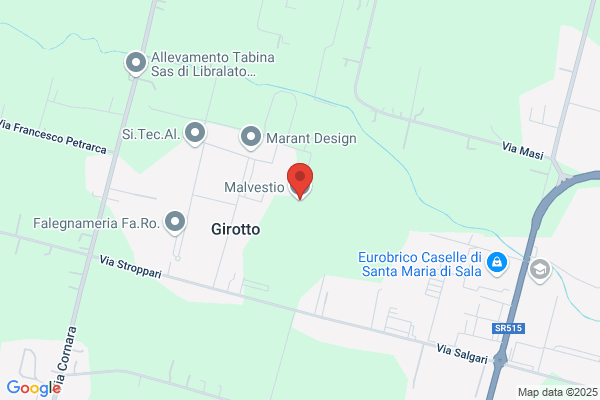 Malvestio francesco