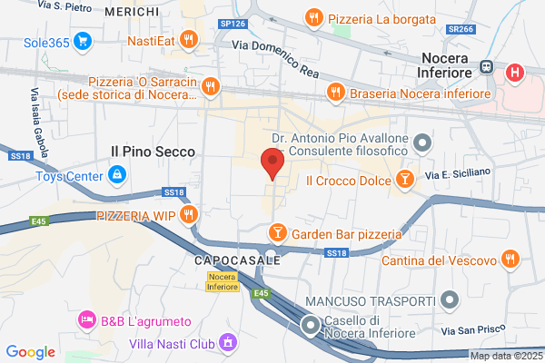 Montella barbara (Dr.)