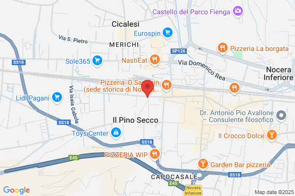 La Mimosa Di Rubini Anna Maria