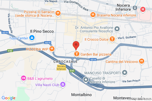 Francione Vincenzo