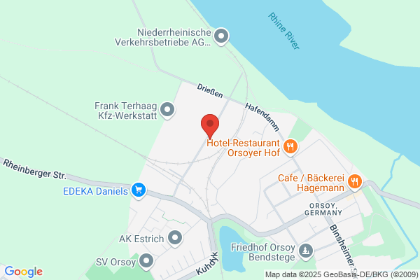 Mercury Service Srl