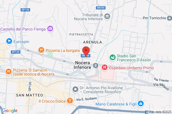 Il Pino Istituto Di Vigilanza