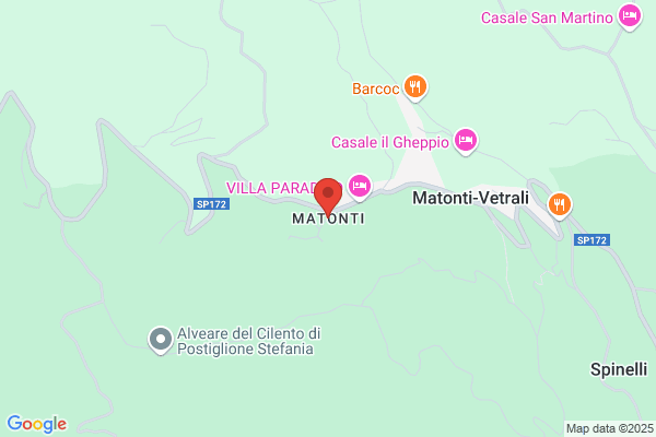 Matonti immacolata