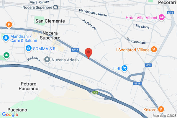 Centro Esportazioni Conservati S.R.L.