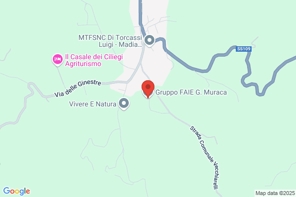 Gruppo FAIE G. Muraca